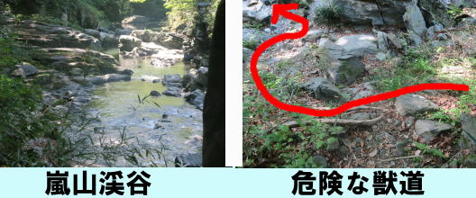 嵐山渓谷　危険な獣道