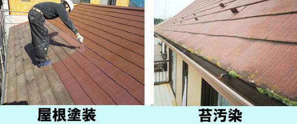 屋根塗装　苔汚染